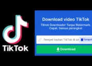 Inilah Aplikasi Download Video TikTok yang Direkomendasikan oleh Para Profesional