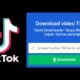 Inilah Aplikasi Download Video TikTok yang Direkomendasikan oleh Para Profesional